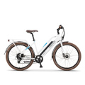 2019 New Product 48V 350W Adult Electric Bicycle MID Motor